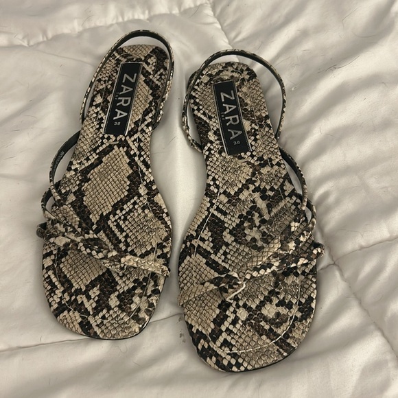 ZARA Flat Snakeskin Sandal Women’s size 38 cream black strappy summer sandals - Picture 1 of 4